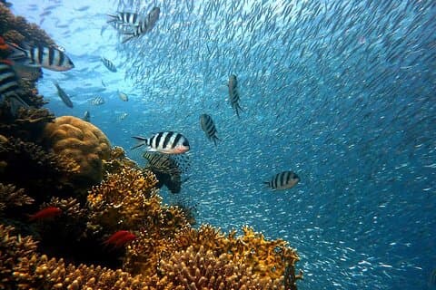 Sharm El Sheikh Jeep Safari a Blue Hole & Dahab Canyon Aventura