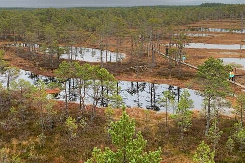 Lahemaa Nationaal Park in een dagtour