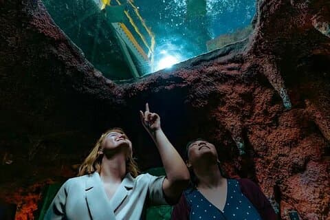 Entrada para o Aquário Nacional de Abu Dhabi – Ocean Adventure