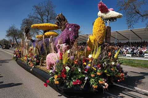 Flower Parade 17 April with Grandstand & Keukenhof from Amsterdam