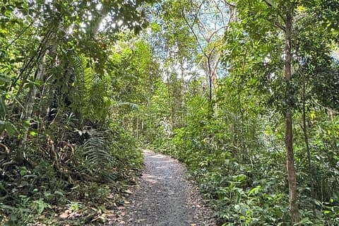 Tour of the 4 beaches and waterfalls in Itacaré