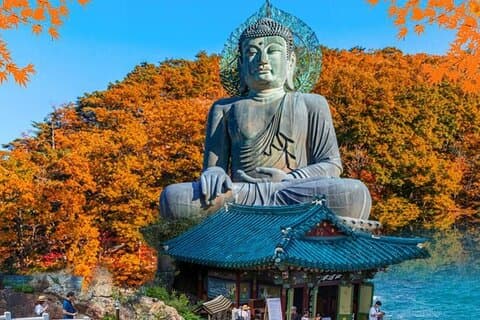 Dagstur till Mt.Seorak & Naksan Temple från Seoul