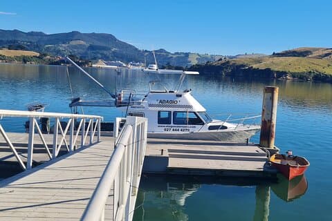 Ferry para Port Chalmers e Quarantine Island