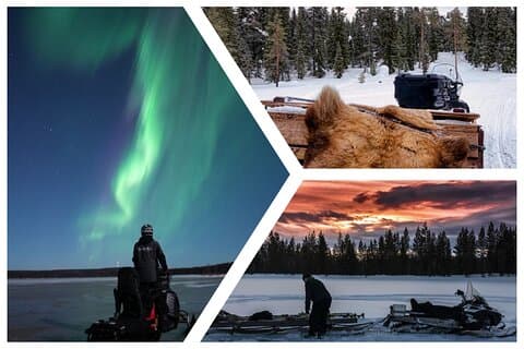 Sleigh ride natt tur Rovaniemi