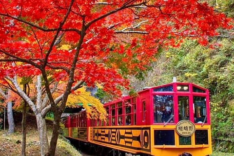 Tagesausflug von Osaka nach Nara Park, Golden Pavilion Bambuswald