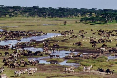 Ngorongoro Crater with Nature Tour and Lunch