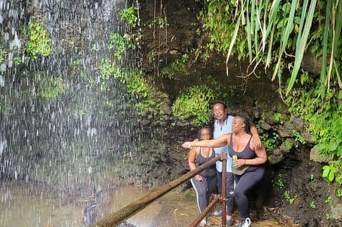 Grenada Höjdpunkter Halvdagstur med rom, choklad och vattenfall
