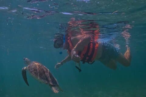 Private VW Beetle Tour Swim with Turtles, Visit Tulum Ruins&Town