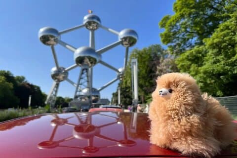 Private Guide Walking Tour in Brussels with 4 Tastings