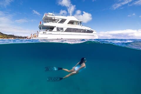 Crucero de buceo con snorkel en Moreton Island & Tangalooma Wrecks - Brisbane