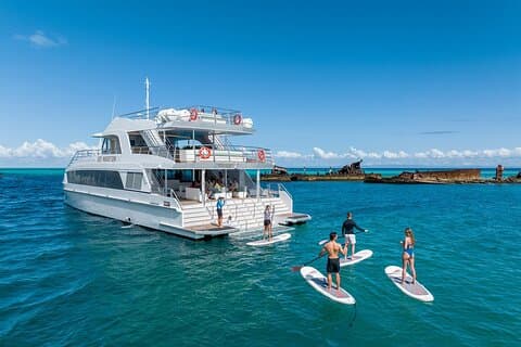 Moreton Island & Tangalooma Wrecks Snorkel Cruise - Gold Coast