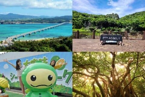 Okinawa Hip-Hop Bus C Course Tour to Northern Island