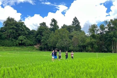 1-dages vandretur og bambusraftingstur i Chiang Mai