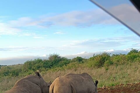 Half Day Nairobi National Park Guided Tour From Nairobi