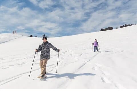 Shiga Hakodateyama Ski Resort Tour from Kyoto or Osaka
