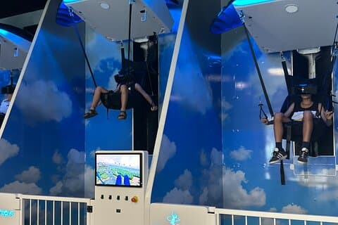 "Niagara Virtual" Parasailing Adventure in VR!