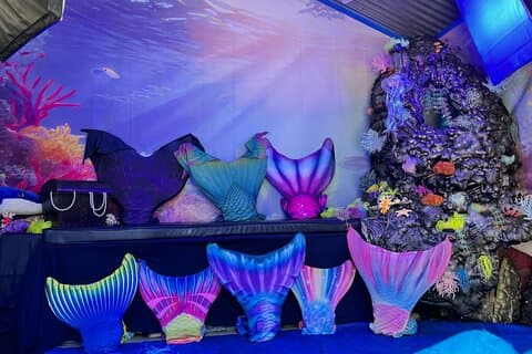 Catalina Island Mermaids Transformation