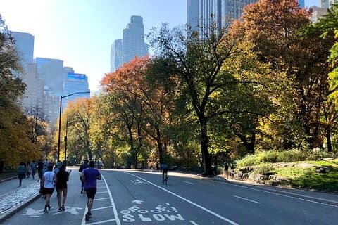 Explore Lower Central Park on Foot with a NYC Licensed Tour Guide