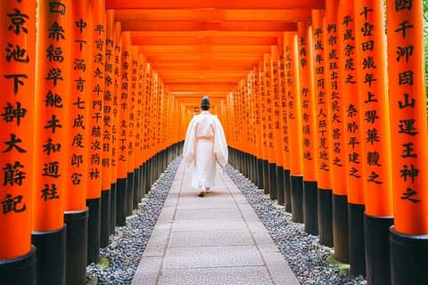英語ガイド付き京都モーニングツアー