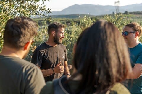 Från Chania: En lyxig olivolja och honungsodyssé