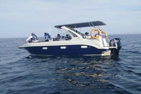 Valskådning i Speed Boat i Mirissa