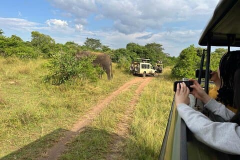 1 dag Akagera Nationalpark Privat safari