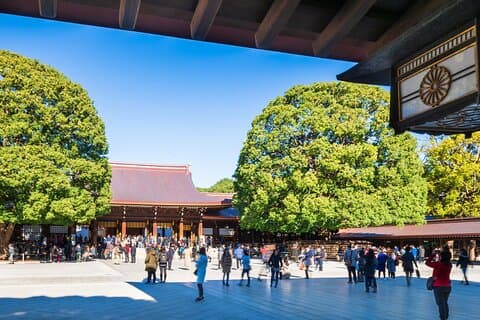 Tokyo Private Guided 1/2-Day Walking Subway Tour English guide