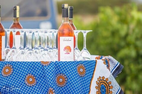 Safari en Vino de 5 jours avec vin et aventure faunique