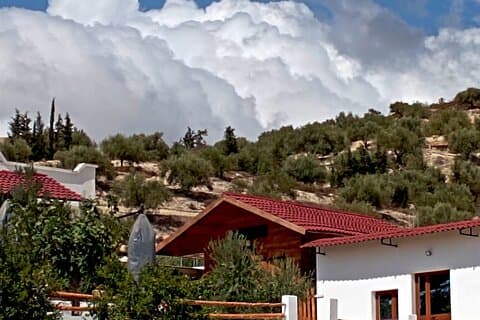 Archaeological and culinary treasure and olive oil tasting