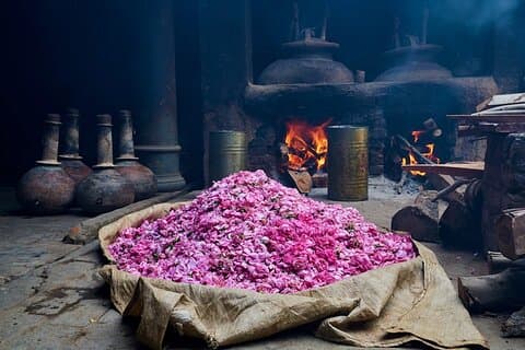 Experience Kannauj the perfume capital from Agra in Private Car