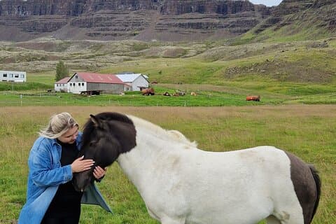 Private 2 Tage Bauernhofaufenthalt und Snæfellsnes plus Silberkreis
