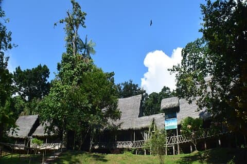Wolf of the Jungle Expedition to Explore the Amazon in 4 days