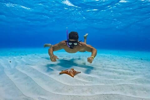 Restauranter i nærheten av El Cielo, Colombia Reef & Palancar Reef