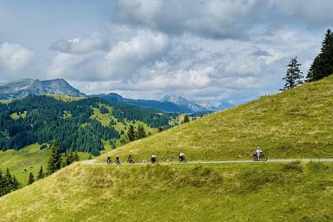 Privat E-sykkel tur Habkern ost smak fra Interlaken