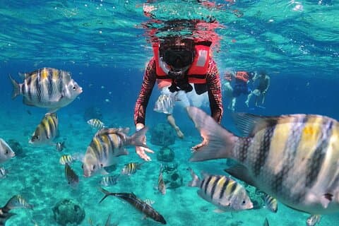 Clearboat : Balade en bateau à fond de verre à Cozumel