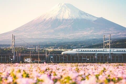 Tokyo à Mount Fuji Expériences guidées privées
