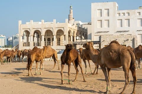 Tour de 2 dias do Qatar com destaques em maravilhas culturais e naturais