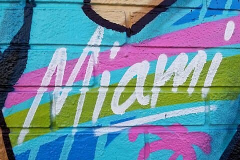 Wynwood Neighborhood Art Walk Selbstgeführte Tour durch Wandmalereien