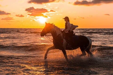 Ridning i Punta Cana