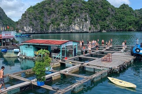 2D1N eventyr: Hotell i nærheten av Cat Ba National Park, Lan Ha Bay