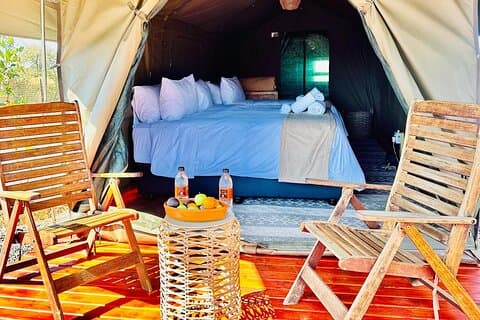 Experimente la naturaleza en el campamento de safaris en tiendas Tlou de 3 días