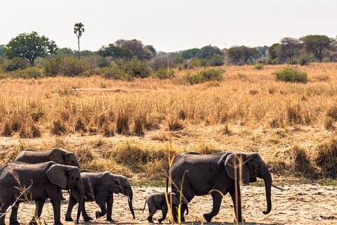 タランギル国立公園のプライベート日帰り旅行