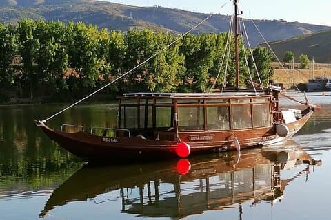 Morning Cruise on the Douro River with Sparkling Wine &Swim Stop
