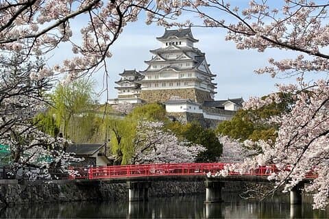 Excursion d'une journée de luxe à Himeji et Kobe avec Guide depuis Kyoto/Osaka