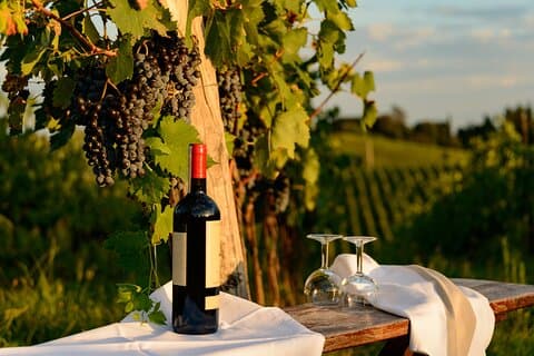 Halvdags vinoplevelse i Valpolicella og Amarone fra Verona
