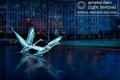 Unisciti alla nostra crociera di lusso Amsterdam Light Festival, bevande disponibili