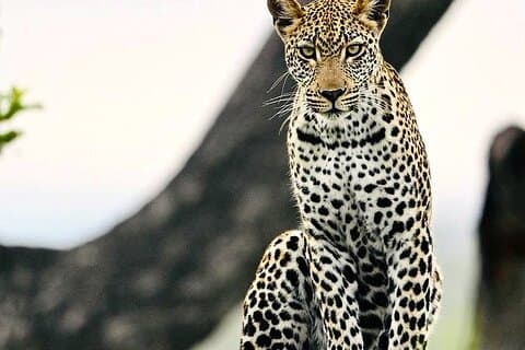 Hotéis em Kruger Park Sunset Drive