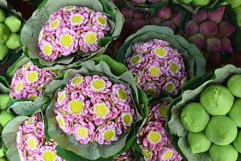 Bangkok Lotus Fields, Orkidégård och Blomstermarknad Tour