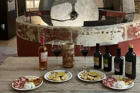 Historic Hypogeum Olive Mill Tour and Tasting in Martina Franca