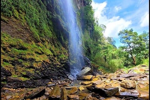 Trinidad’s highest waterfall local cuisine and transport included